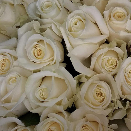 Букет из роз Avalanche 49 - Фото 5