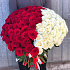 Букет из 101 розы премиум - Фото 1