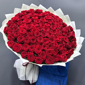 101 бархатная роза №10