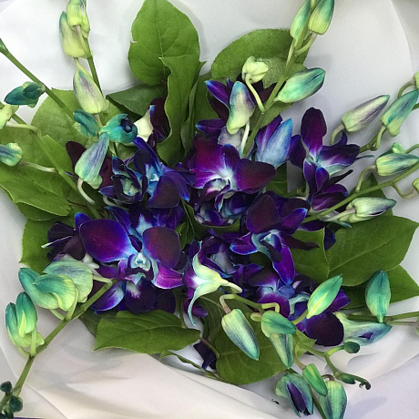 Букет цветов Ультрафиолет №160 - Фото 5