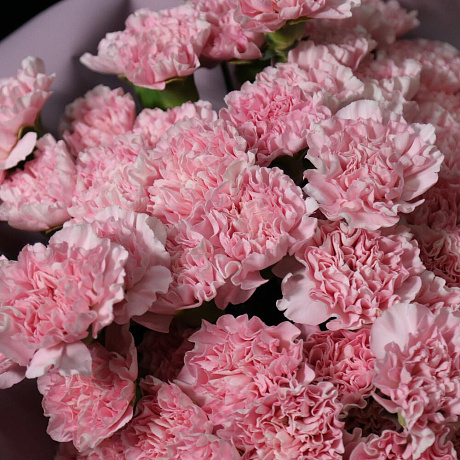 Букет нежно-розовой гвоздики - Фото 2