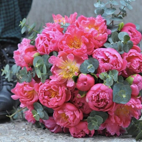 Букет цветов "Заветная мечта"  №166