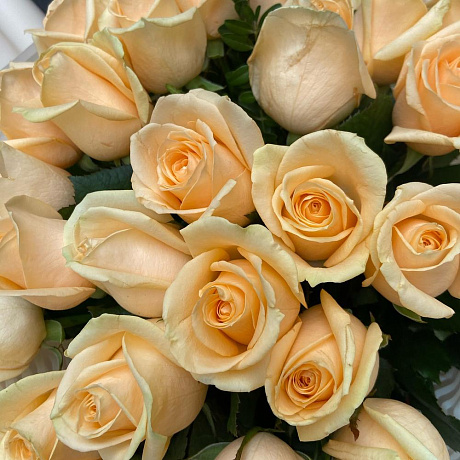 Букет 35 персиковых роз «Аваланж пич» - Фото 6
