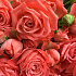 Корзина с розами  Барбадос - Фото 3