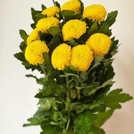 Букет цветов Желток - Фото 2