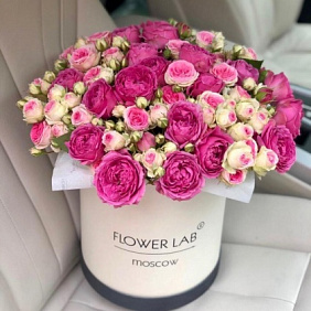 Цветы в коробке Мисти баблз и мими эден