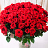 101 красная роза Рэд Наоми (70 см) - Фото 6