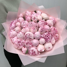 Букет из 51 пиона №164