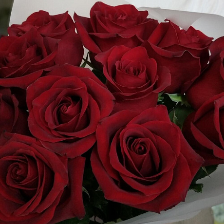 11 роз Эксплорер - Фото 6