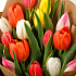 Букет из 15 тюльпанов Апрель - Фото 3