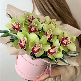 Цветы в коробке зеленые орхидеи