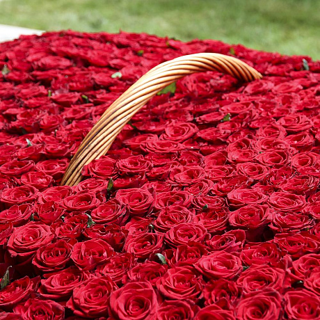 1001 красная роза - Фото 6