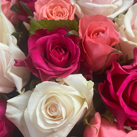 Розы микс 29шт - Фото 5