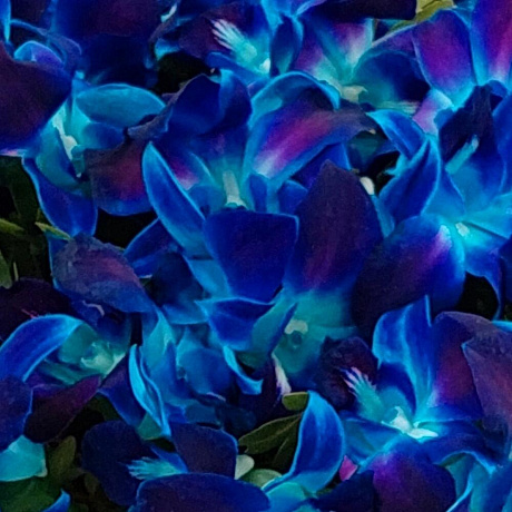 Букет цветов Бездна - Фото 2