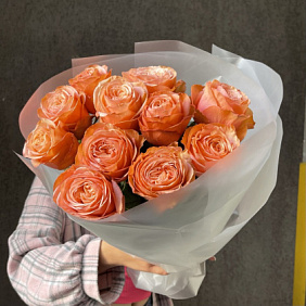 Роза премиум Кахала