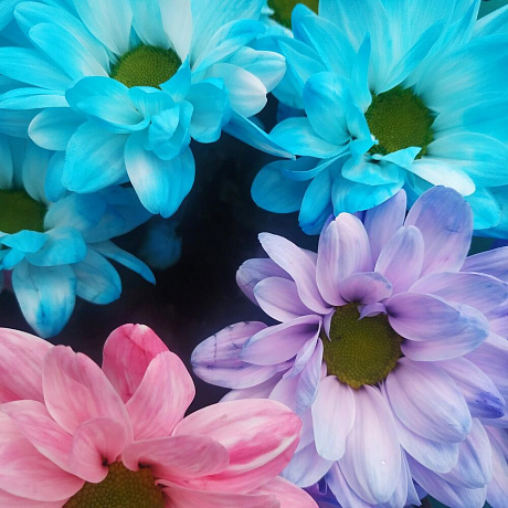 Букет Краски радуги - Фото 4