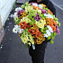 Букет из 35 разноцветных хризантем - Фото 3