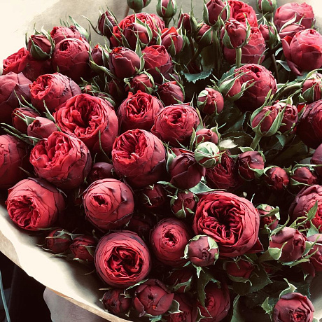 Букет цветов Пионовидное признание - Фото 5