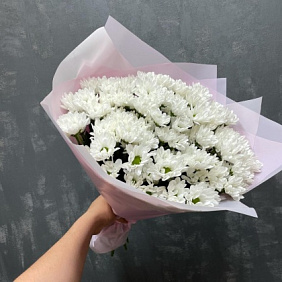 Букет из 15 кустовых хризантем №166