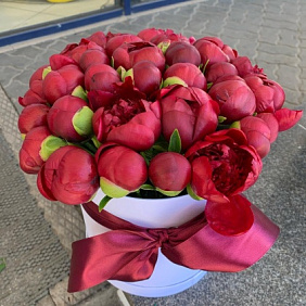 Шляпная коробка из бардовых пионов