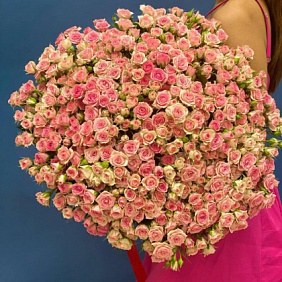 101 нежно-розовая кустовая Роза