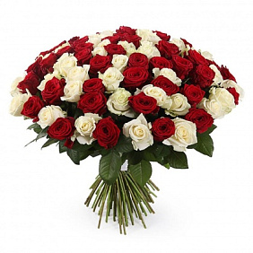 101 роза красно-белая 60 см (Россия)