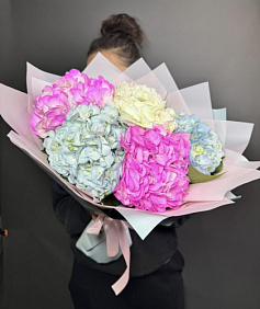 Гортензия премиум микс