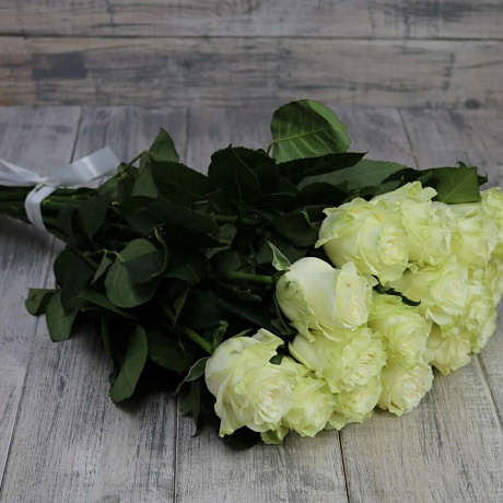 Роза Эквадор Мондиаль 15 штук - Фото 2