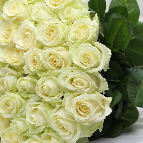 Букет из 51 розы №175 - Фото 5