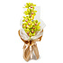 Букет из лимонной орхидеи Тропиканка - Фото 1