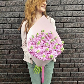 Букет из розовой маттиолы №160