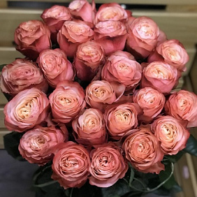 Букет из 25 пионовидных роз №162