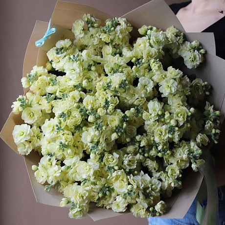Букет из ароматных левкое - Фото 2