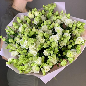 Моно букет "кудрявая эустома"