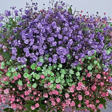 Букет цветов Брызги акварели - Фото 3