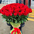 51 Роза Эквадорская красная - Фото 2