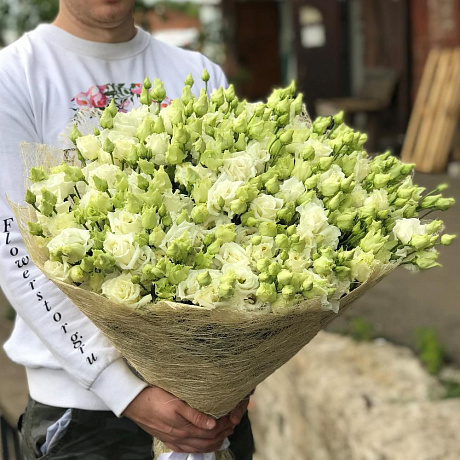 Эустома. Букет из 51 белой эустомы. N481 - Фото 3