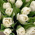 Тюльпаны белый шик - Фото 6