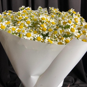 Букет Танацетума №161