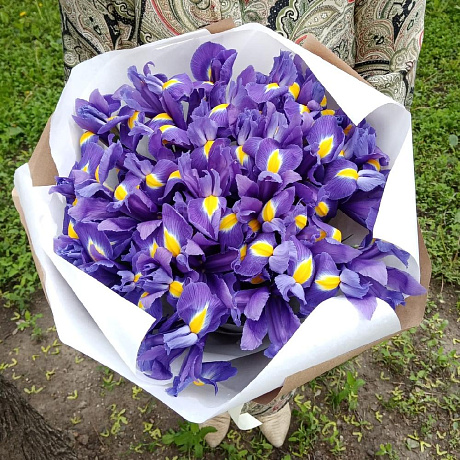 Букет из 31 синего ириса - Фото 3