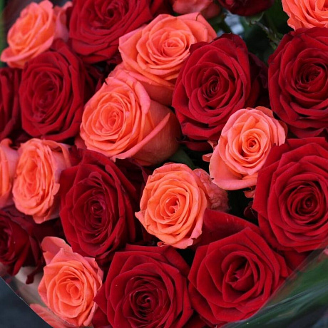 Букет из 21 микс роз - Фото 6