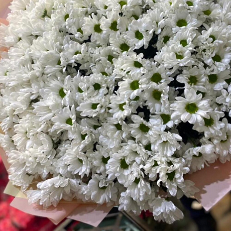 Букет кустовых хризантем №165 - Фото 3