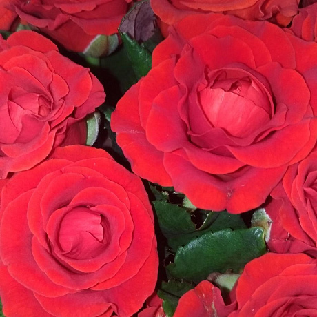 Букет цветов Кармен №164 - Фото 6