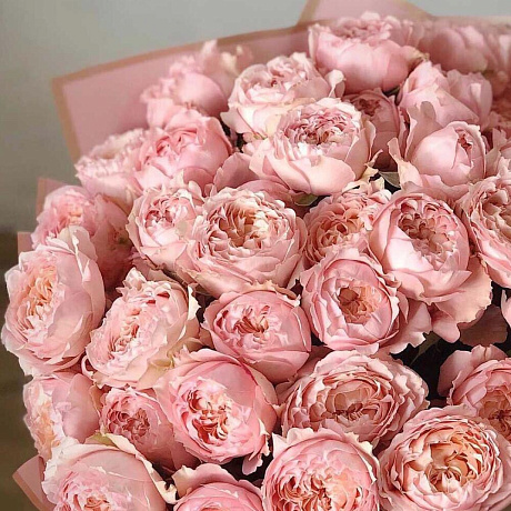 Пионовидная Роза Джульетта wow эффект - Фото 2