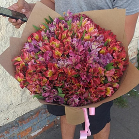 Букет из 51 альстромерии №161