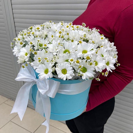Микс из ромашковых хризантем  - Фото 6