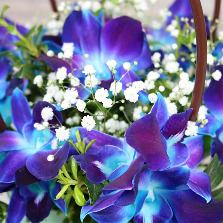 Букет цветов Комплимент №261 - Фото 4