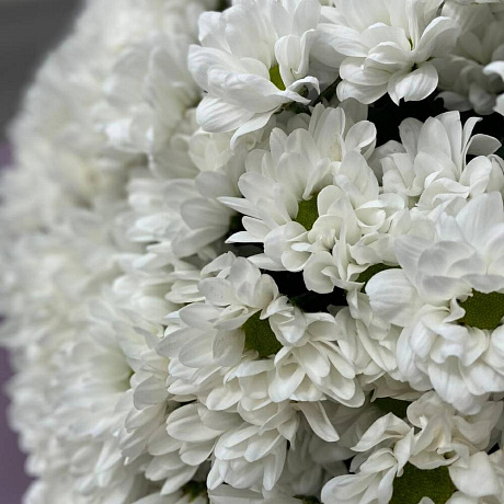 Букет цветов Белый ангел №160 - Фото 6