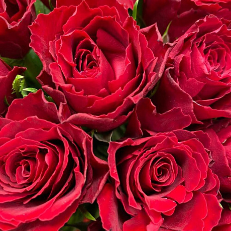 Букет из 51 кенийских роз - Фото 5