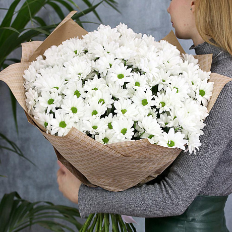 Букет из 25 белых кустовых хризантем Бакарди - Фото 2